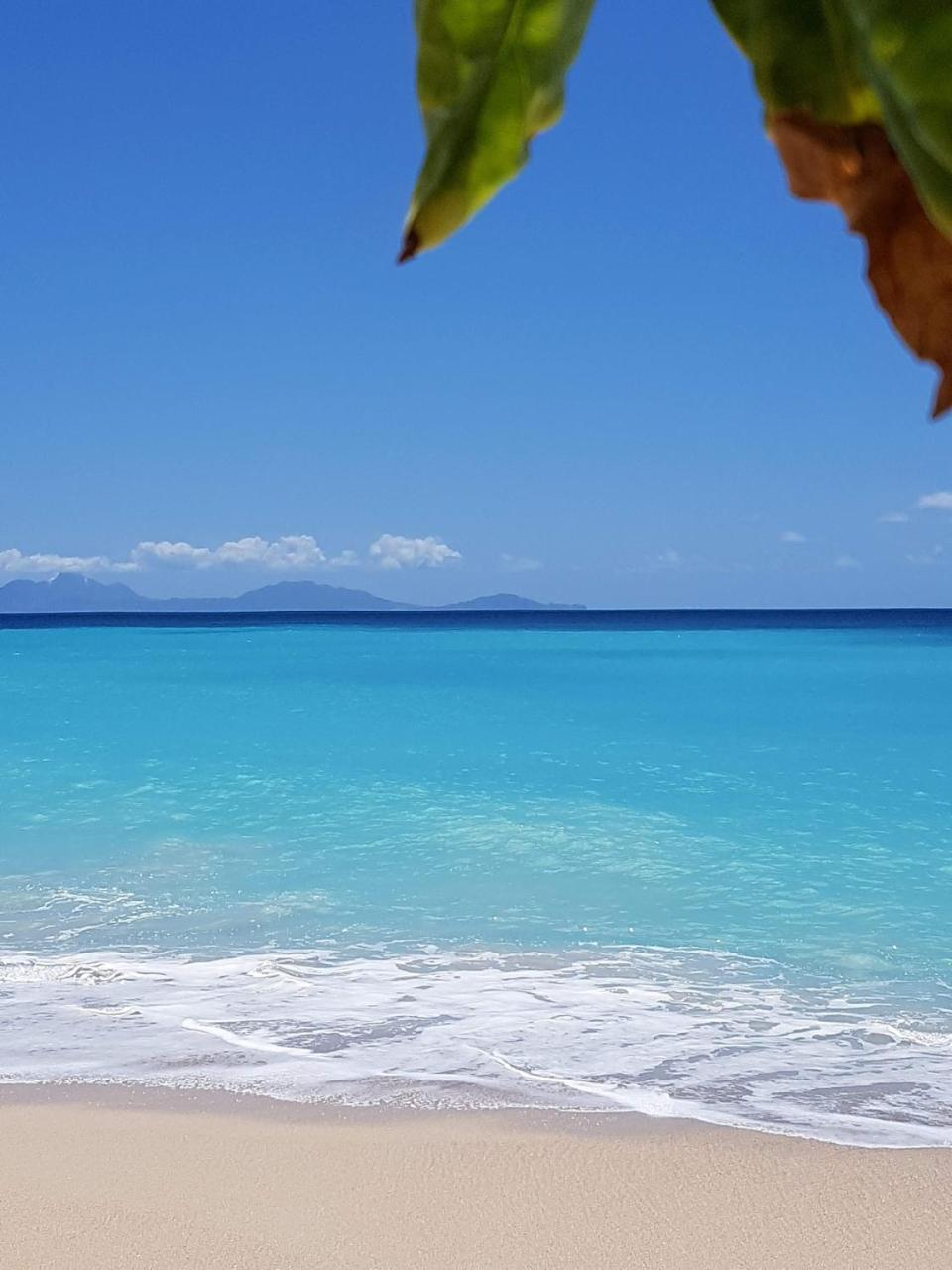 Dickenson Bay Oasis At Antigua Village St. John's Eksteriør bilde