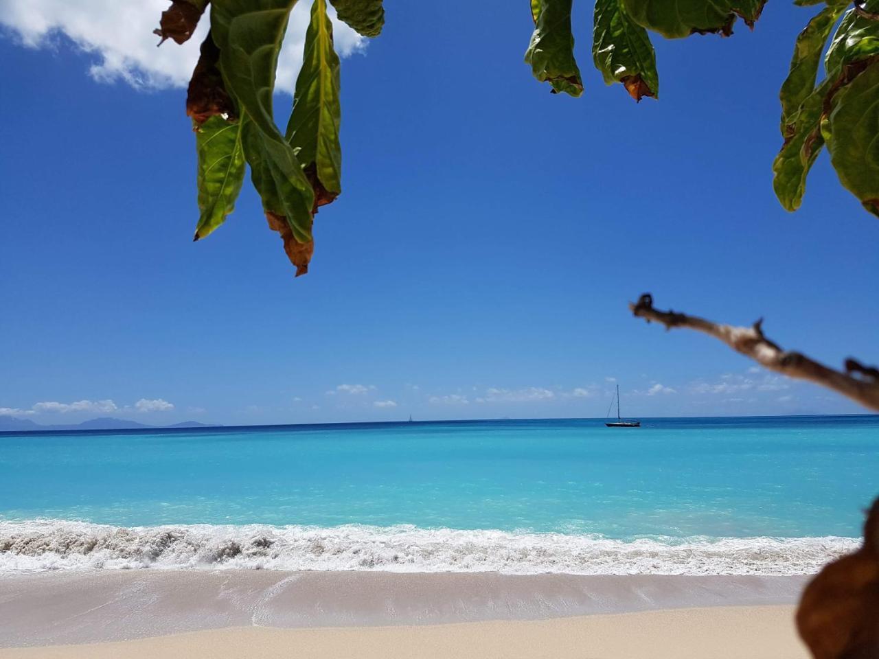Dickenson Bay Oasis At Antigua Village St. John's Eksteriør bilde